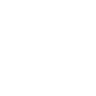 Fushunlight Global - Presence in 70 Countries